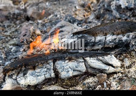 A small beach file still burns during the day. The fire is left from the night before. Only a small part of the log burns. Stock Photo