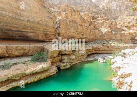 Green lake waters in the middle of Wadi Shab canyon, Tiwi, sultanate Oman Stock Photo