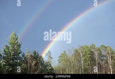 Double rainbow in the clear blue sky over the forest. Beautiful natural phenomenon. Stock Photo