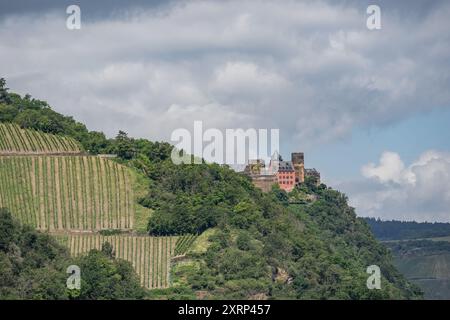 Middle Rhine River Valley, Germany – June 11, 2024: The Schoenburg castle on a hill above the town of Oberwesel Upper Middle Rhine Valley along the Rh Stock Photo