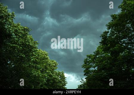 Stormy sky with heavy dark clouds in summer seen through green treetops, selective focus Stock Photo