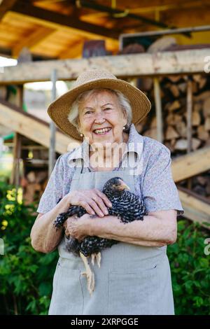 Elderly woman holding a chicken. Happy old farmer is delighted with her livestock. Stock Photo