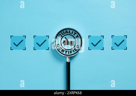 Quality control and assurance. Magnifying glass is showing a quality certified symbol, surrounded by checkmarks, on a blue background. Stock Photo