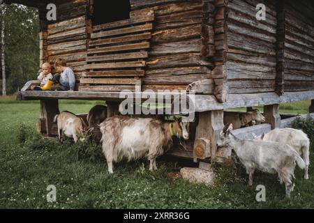 White Scandinavian boys on wooden house in Forest with wild goats Stock Photo