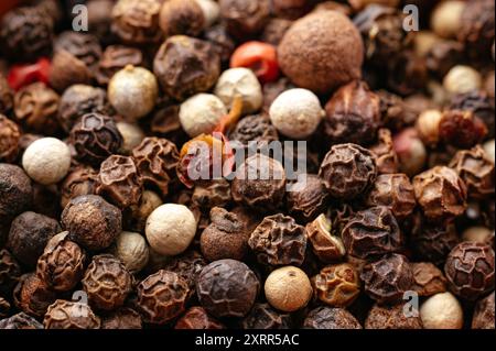 macro photo of black and white pepper. Stock Photo
