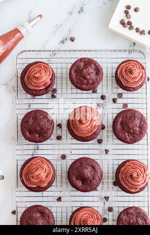 Beetroot chocolate cupcakes on cooling rack with frosting Stock Photo