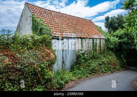 Pretty Farm Barn with Blue Door, Guernsey, Channel Islands, UK Stock Photo