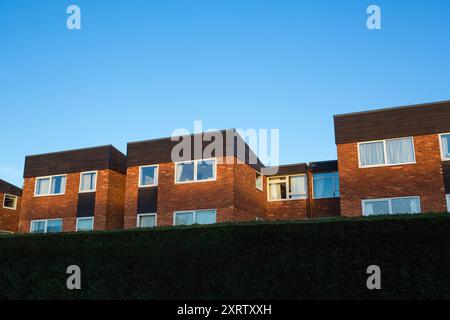 A line of houses or flats partially hidden behind a large green hedge. Stock Photo