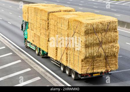 Back and side view of towed trailer & flatbed hgv lorry truck laden with large strapped on bales of straw driving along M25 Motorway Essex England UK Stock Photo