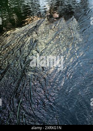 A view down the river of the turbulent flow of water over bedrock; an ...
