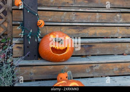 Fall decorations for Halloween holiday. Carved pumpkin on outdoor wooden stairs. Copy space Stock Photo