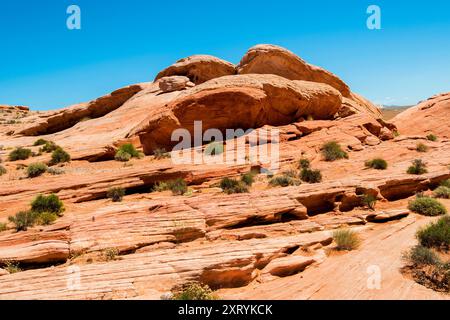 Fire Canyon Overlook, Valley of Fire State Park, Mojave Desert, Nevada Stock Photo