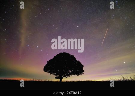 Dunsford, Devon, UK. 13th Aug, 2024. Supernatural Northern lights and Perseid meteors over a magic tree near Dunsford on the edge of Dartmoor, Devon, UK. Aurora Borealis. Credit: nidpor/Alamy Live News Stock Photo