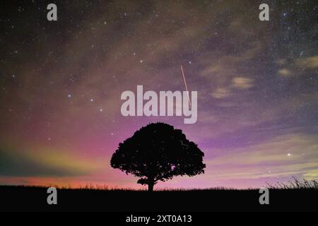Dunsford, Devon, UK. 13th Aug, 2024. Supernatural Northern lights and Perseid meteors over a magic tree near Dunsford on the edge of Dartmoor, Devon, UK. Aurora Borealis. Credit: nidpor/Alamy Live News Stock Photo