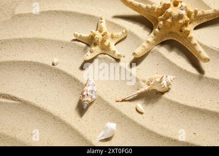 Starfishes and seashells on sand Stock Photo