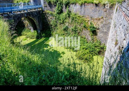 Ditch with stagnant water covered with bloom algae at Charlemont fortress, surrounded by wild vegetation, brick walls and bridge in background, sunny Stock Photo