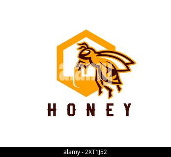 Honey icon with bee and honeycomb cell for beekeeping and apiary products, vector emblem. Beekeeper farm and apiary honey food label with honeybee in geometric honeycomb icon for food package tag Stock Vector