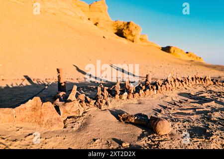 Cairo. 12th Aug, 2024. This photo taken on Aug. 12, 2024 shows whale fossil remains at the Wadi Al-Hitan in Fayoum, Egypt. Wadi Al-Hitan, or Whale Valley, located in the desert of Fayoum, contains invaluable fossil remains of the earliest, and now extinct, suborder of whales, Archaeoceti. Credit: Ahmed Gomaa/Xinhua/Alamy Live News Stock Photo