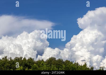 Lush big cumulus clouds in blue sky above forest. Stock Photo
