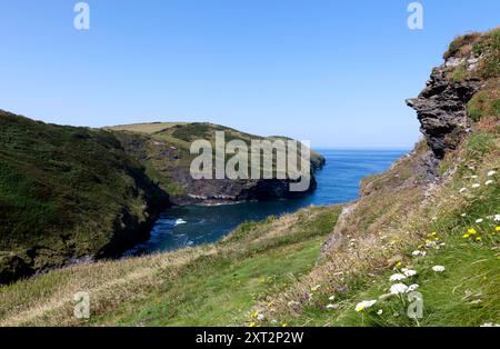 Looking along the coastline from the cliff top at Pentargon Cove, towards Meachard Rock, Near Boscastle, Cornwall, UK Stock Photo