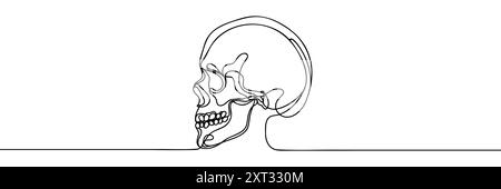 Human scull. One line continuous Halloween skull isolated on white ...
