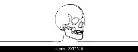 Human skull continuous one line drawing and and minimalist style ...