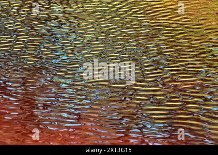 An artistic capture of wave reflections creating a mesmerizing abstract pattern. The warm golden and cool blue tones blend seamlessly, invoking a soot Stock Photo