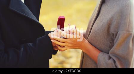 Love, relationships, engagement and wedding concept - man proposes woman to marry, they holds red box ring in hands close up, happy young romantic cou Stock Photo