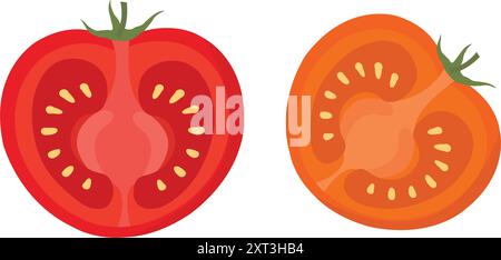 Half-Cut Juicy Red Tomato: Detailed Vector Illustration. Eye-Catching Tomato Slice. Food Industry Resource. Half-Cut Red Tomato Vector. Red Tomato Stock Vector