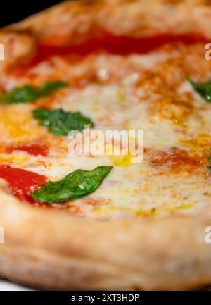 A close-up image showcasing a hot, freshly made pizza adorned with melting cheese, bright red tomato sauce, and fresh green basil leaves, presenting a Stock Photo