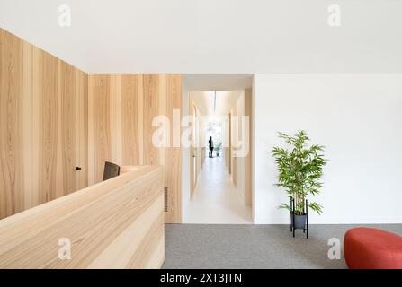 A welcoming and modern dental clinic featuring bright interiors with natural light and elegant wooden details The setting includes a reception area th Stock Photo