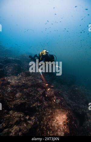 An unrecognizable male diver moves through murky waters, his gaze not visible, surrounded by schools of small fish Stock Photo