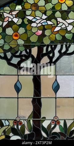 Royal Arcade, Back of the Inns, Norwich, Norfolk, 2023. Detail of stained-glass depicting doves and flowers in a tree, in the semi-circular top of the Royal Arcade's arcuated entrance, from the west. Design by GJ Spooner, 1899. Stock Photo