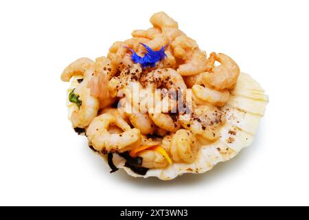 Cooked, peeled prawns with a dusting of paprika on a scallop shell - John Gollop Stock Photo