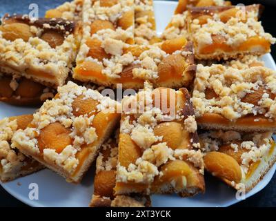 Peach-apricot cake from the summer fest, a fresh and juicy fruit cake that’s perfect for summer and a favorite on any coffee table. Stock Photo