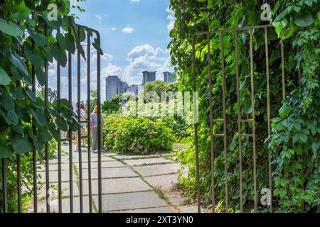 Open gates to the city park. Climbing plants on the gates. People near pink hydrangea bushes. Residential buildings in the distance. Stock Photo