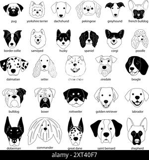 Different dogs heads collection of various breeds on white background ...