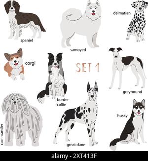 Set of various breeds white dogs authors work Stock Vector