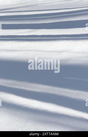 Tree shadow lines on fresh white winter landscape snow background Stock Photo