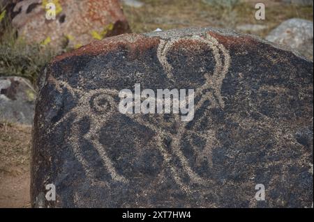 Open-air petroglyph museum in Kyrgyzstan Stock Photo