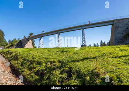 An old railway line on the Rigi, together with its bridges, serves as a hiking trail. Vitznau, Lucerne, Switzerland Stock Photo