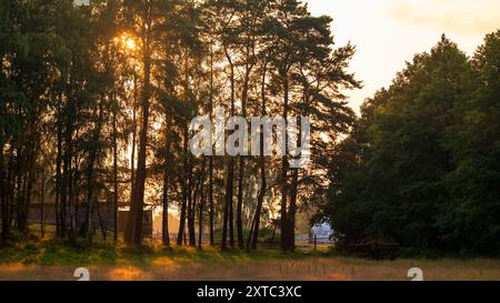 Beautiful rural landscape. The sun setting behind the trees. Meadow in the foreground. The sky lit up after the storm Stock Photo