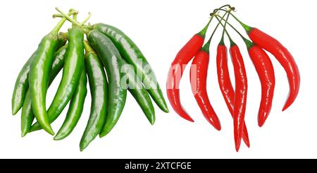 harvest of green chili peppers, Red hot chilli peppers pattern texture background. A backdrop of Green Red hot chillies peppers. Group of Green Red Stock Vector