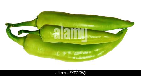 green chili pepper. Hot and natural shaped organic green fresh peppers, Natural Chilies are isolated in white background Stock Vector
