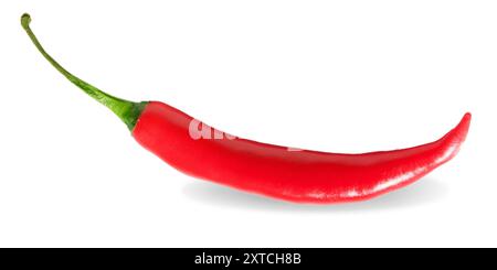 Red hot natural Chilli pepper, Single chili pepper isolated on white background. Chili hot pepper whole. Chili Clipping Path. Fresh red peppers , Fres Stock Vector