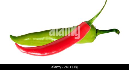 Red and green chili pepper isolated on White Background. top view, Hot Natural green and Red Chillies, Pair of natural shaped organic red and green fr Stock Vector