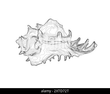 Outline spiral conch sea shell, sketch style vector illustration isolated on white background. Contour drawing of saltwater conch, sea snail shell Stock Vector