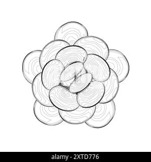 Outline of seashells stacked on top of each other in a circle of black lines isolated on white background. Vector illustration. Stock Vector