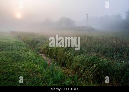 Foggy Field Foggy Field during a Fall Season Morning. Schiermonnikoog, Netherlands. Schiermonnikoog Buitengebied Gronignen Nederland Copyright: xGuidoxKoppesxPhotox Stock Photo