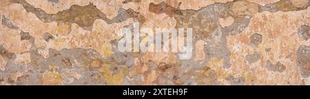 Old panoramic wall with partly fallen brown plaster - vintage architecture Stock Photo